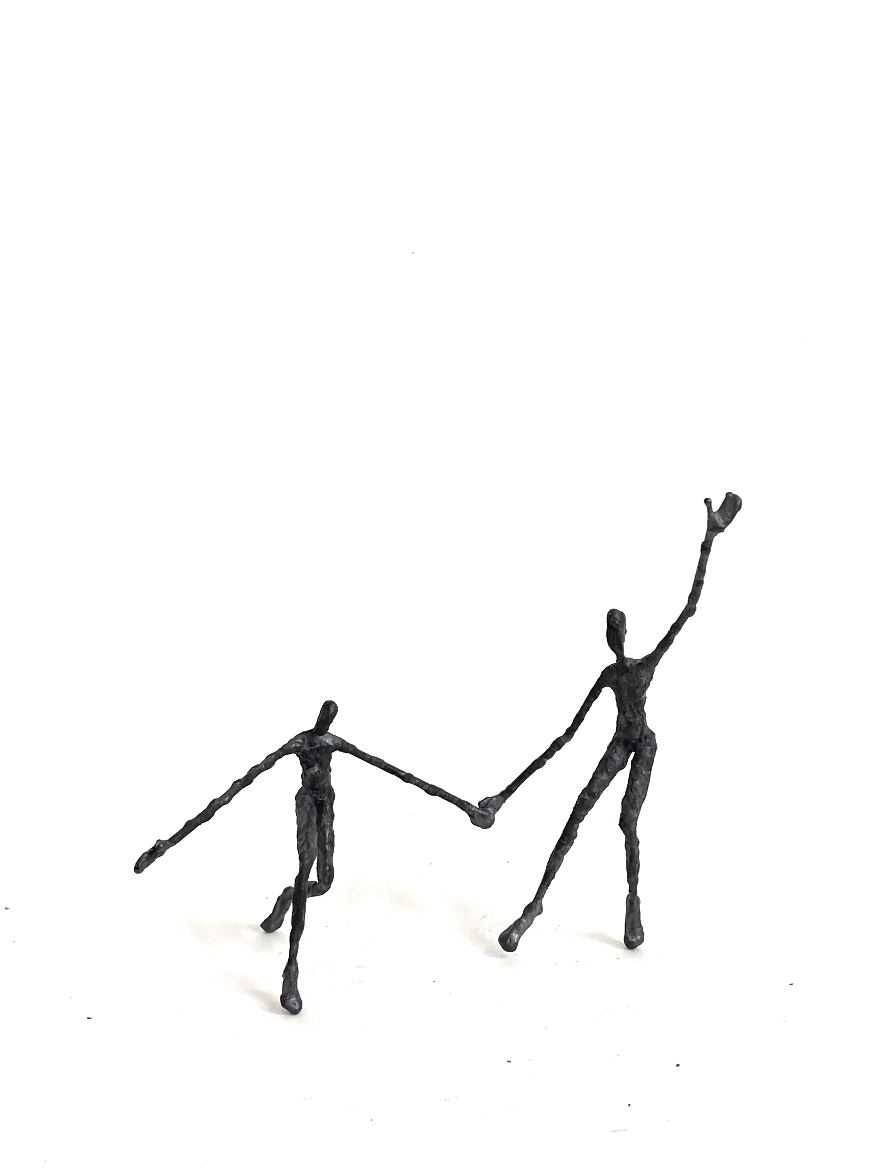 samen , wilfried de cock 