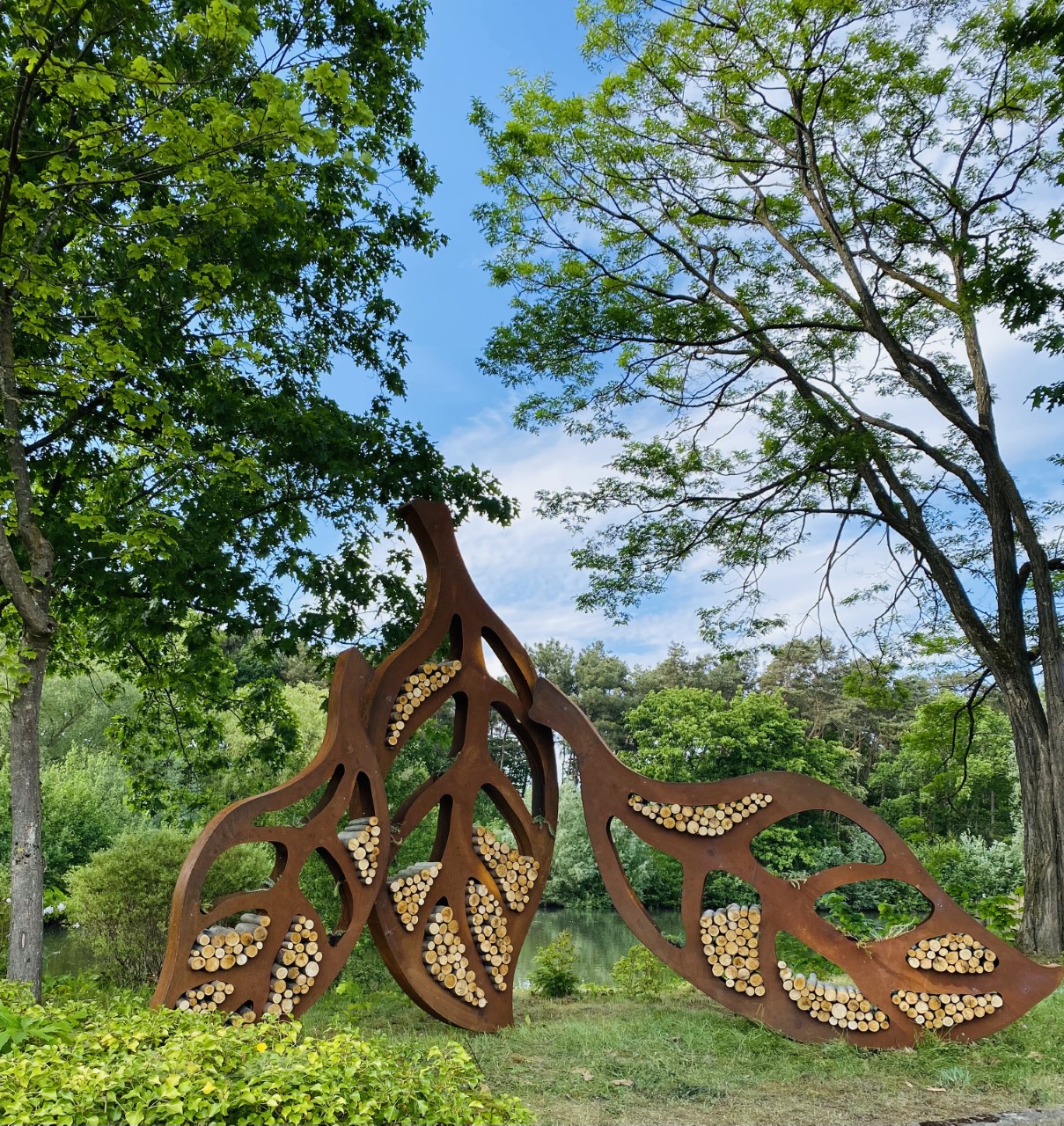 Insectorama 